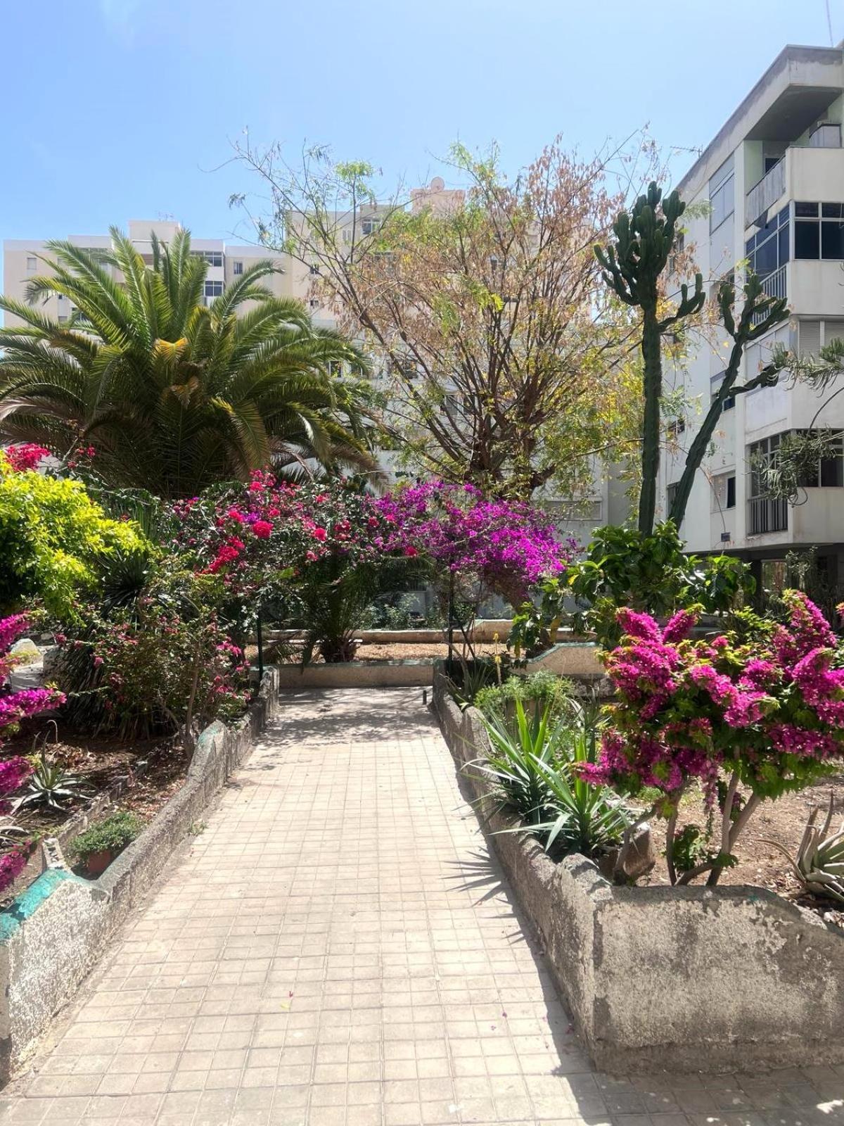 Relax Apartamento 7 Las Palmas de Gran Canaria Exteriör bild
